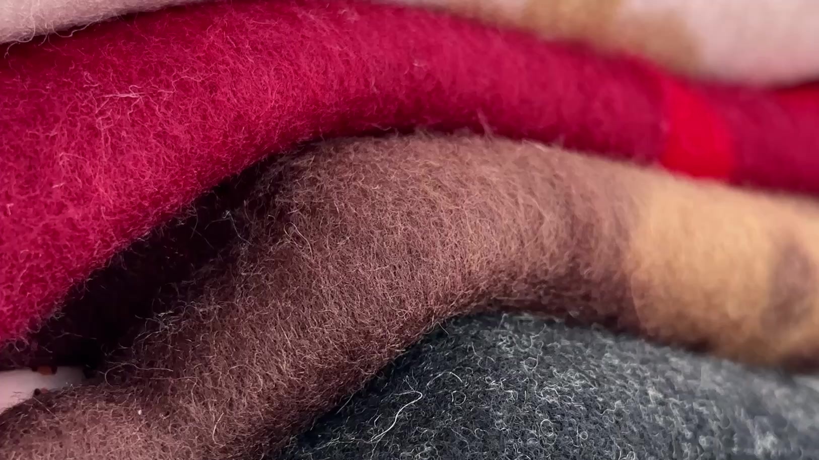 wsxc1762280657352_0.mp4