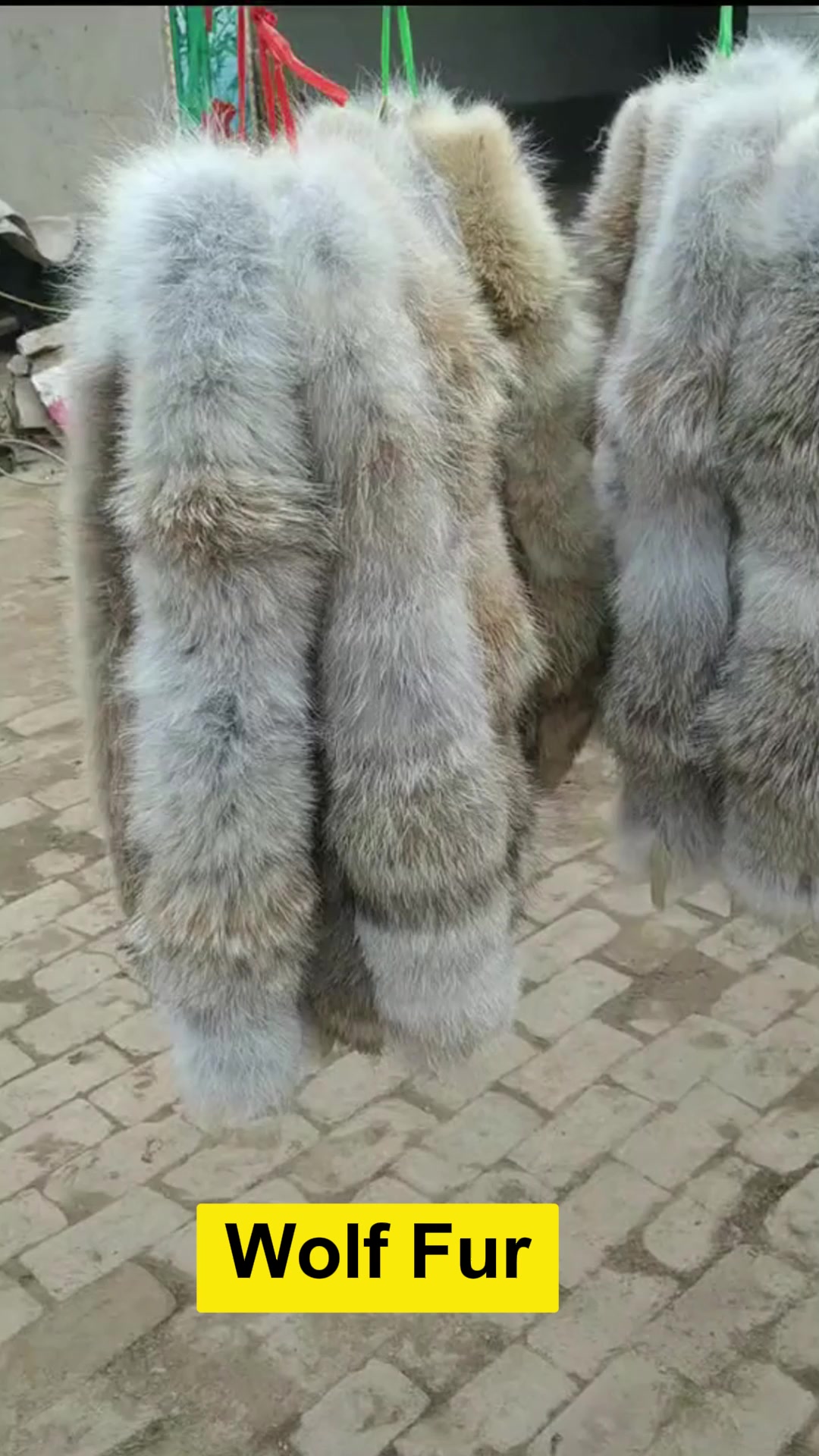 Real Wolf Fur not Raccoon Dog Fur!!!