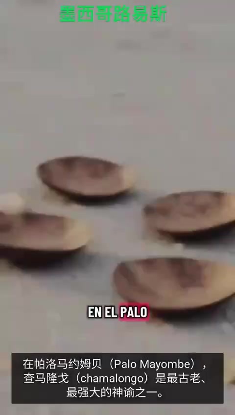 椰子片问非洲神灵chamalongo.MP4